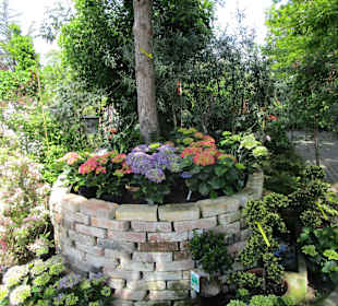 Peterhof-Pflanzen in Hanhofen