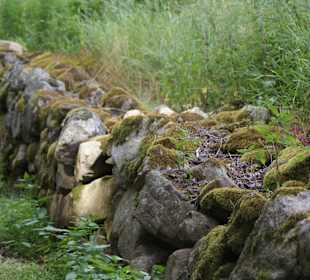 Natur pur an der Blidingsholmer Brücke