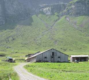 Alpe Kanis