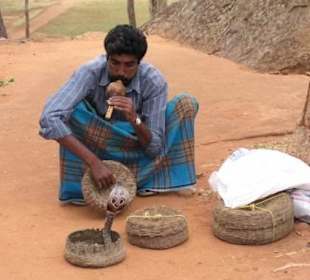 Schlangenbeschwörer unterwegs