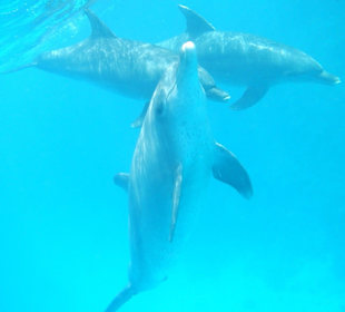 Ein nettes Ständchen ;-)