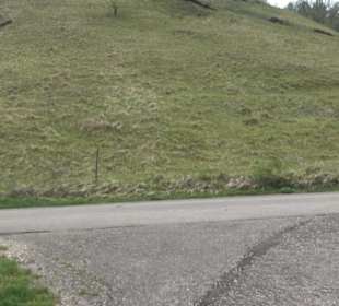 Calverbühl