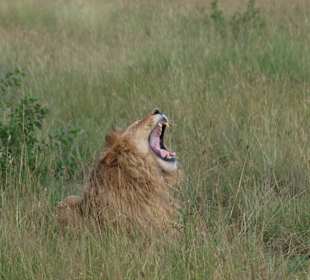 Oh man, bin ich müde