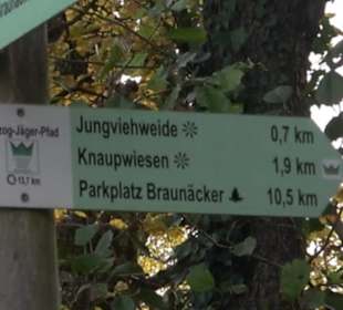 Jungviehweide