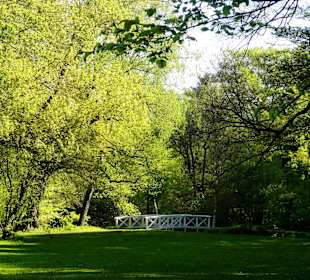 Spaziergang durch den Park Höpkensruh