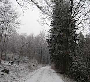 W drodzę na Ślężę