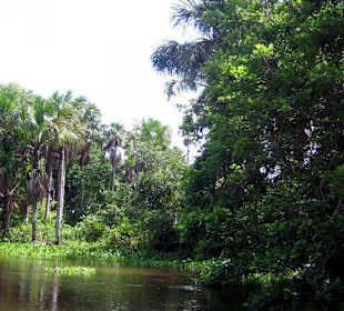 Orinoco Delta