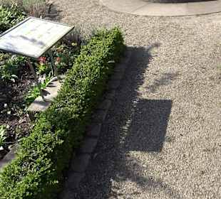 Apothekergarten Ettlingen