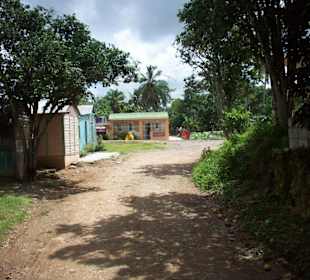 Truck Safari - Landleben