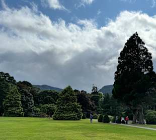 Killarney National Park