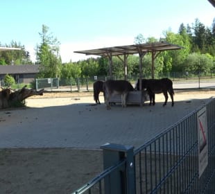 Kinder-Bauernhof