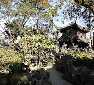 Сад скромного чиновника