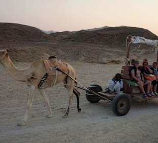Wadi el gimal