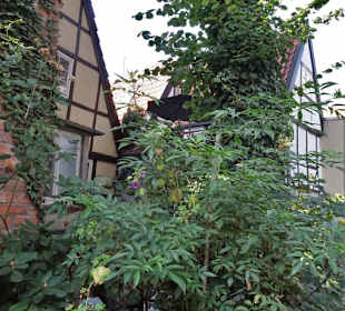 Spaziergang durch den Bremer Schnoor