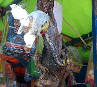 Hexenmarkt