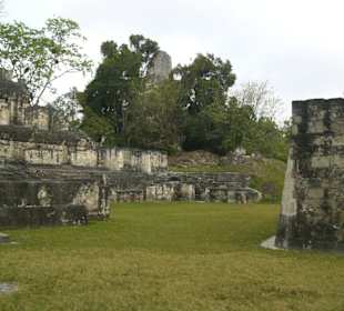 Tikal