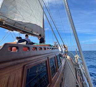 Katamaran Tour Jandia