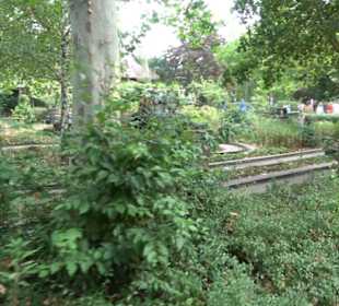 Erlebnispark Tripsdrill