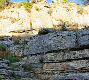 Rafting Selge National Park & Landschaft/An- & Abfahrt