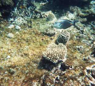 Unglaublich schön...