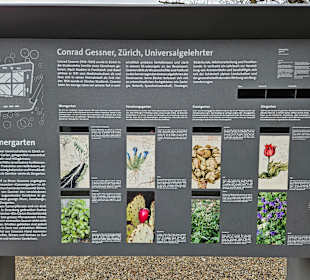 Schautafel 