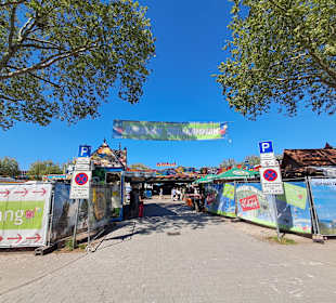 Maimarkt Landau in Landau in der Pfalz