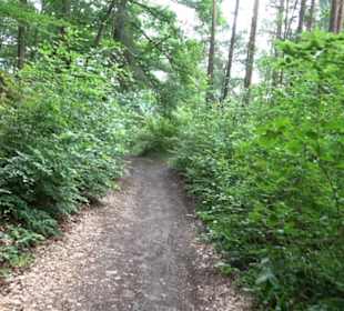 Schutzgebiet Spitzberg, Pfaffenberg