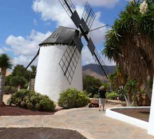 Das Mühlenmuseum bei Antigua