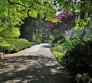 Eindrücke vom Rundgang durch den Berggarten