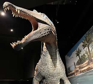 Aquarium Wilhelmshaven