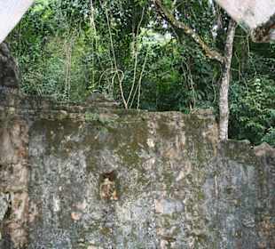 Palenque