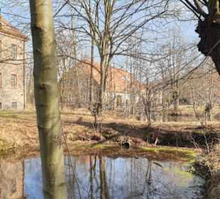 Umgebung am Berzdorfer See.