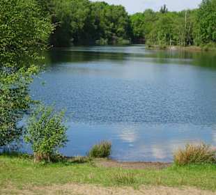Der zentrale Ellisee im Sandtrockenrasen von Achim