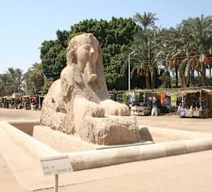 Memphis, Sphinx von Memphis