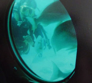 Blick durch`s Bullauge