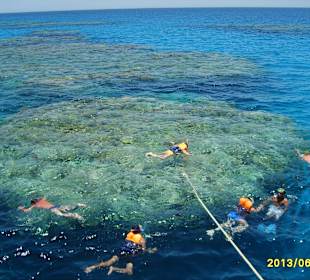 Schnorcheln am Korallenriff