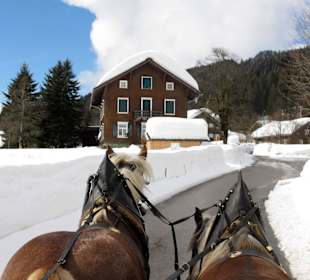 Schlittenfahrt im Allgäu