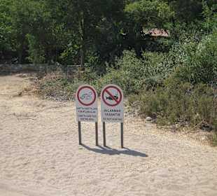 Ob es stimmt ? Jagen sicher ,aber Schildkröten..