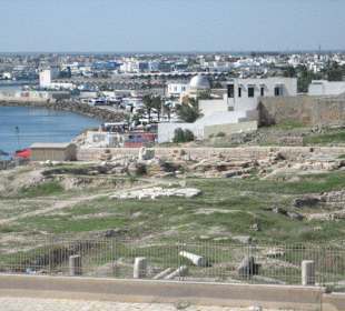 Blick auf das Ausgrabungsfeld