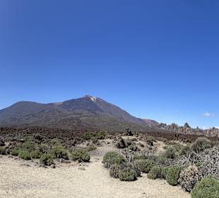 Wandern Teneriffa Kreaktiv Costa Adeje