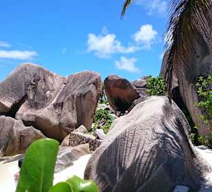 Anse Source D´Argent