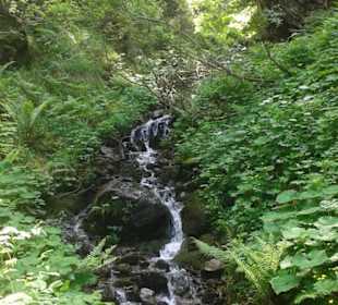 Wandergebiet Schennaberg