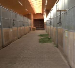 Haupt- und Landgestüt Marbach