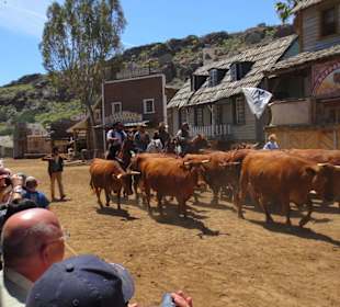 Das sah toll aus, aber staubig