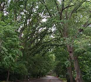 Strandpromenade Goldstrand