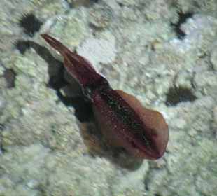 Фото с пирса