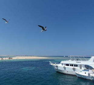 Остров Утопия