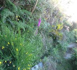 Am Rand der Hochebene: Levadinha da Serra