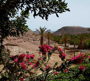 Oasis Park - Fuerteventura