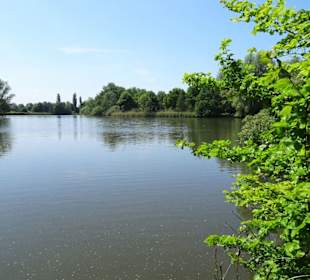 Blick über den Krimpelsee